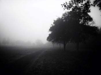 Scenic view of landscape during foggy weather