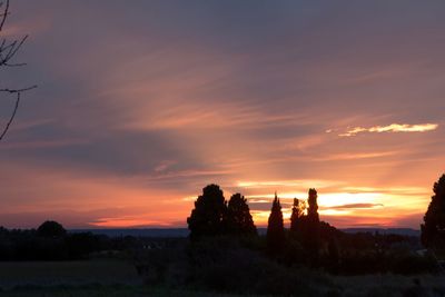 Silhouette trees on landscape against dramatic sky during sunset