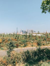 Plants growing by buildings against clear sky