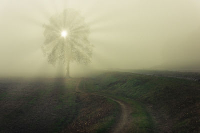 Scenic view of field against sky during foggy weather