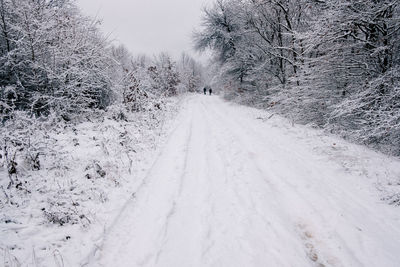 snow