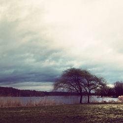 Bare trees on field against cloudy sky