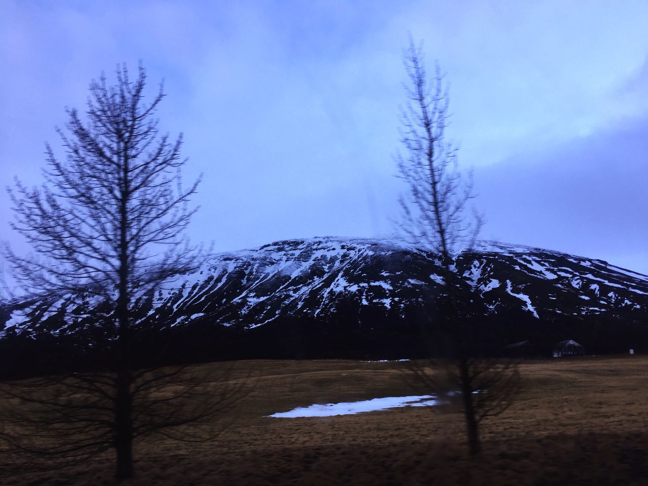 tree, sky, no people, nature, outdoors, tranquility, scenics, bare tree, beauty in nature, tranquil scene, cold temperature, snow, day