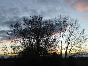 Low angle view of silhouette bare trees against sky during sunset