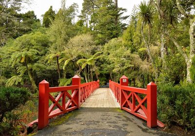 Footbridge amidst trees and plants in forest