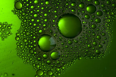 Close-up of water drops on glass