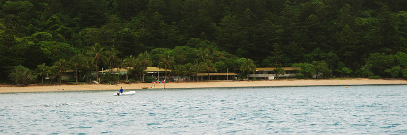 Scenic view of sea against trees