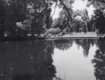 Scenic view of lake in forest against sky