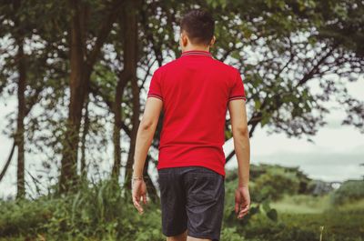 Rear view of man walking on land