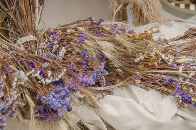 Close-up of lavender hanging on plant