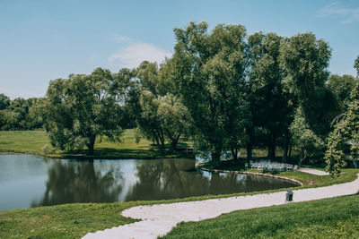 Scenic view of lake by trees against sky