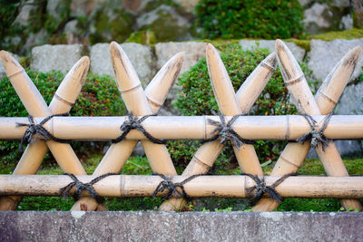 Close-up of tied up on wooden fence