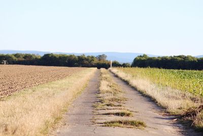Dirt road amidst agricultural field against clear sky
