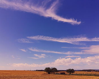 Scenic view of field against blue sky