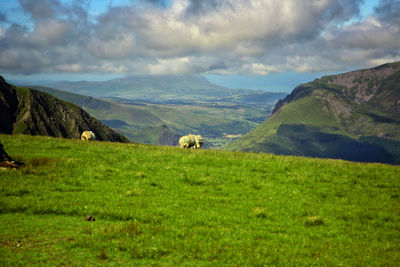 Scenic view of field and mountains against sky