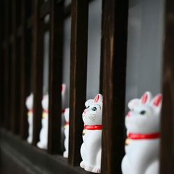 Maneki nekos on window sills