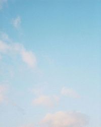 Low angle view of trees against blue sky