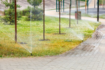 Wet footpath in lawn