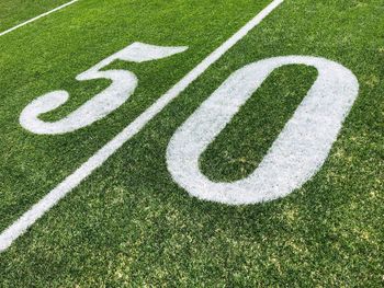 Close-up of 50 yard line 