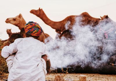 Rear view of man wearing turban while crouching at desert with camels in background