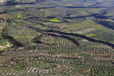 High angle view of agricultural field