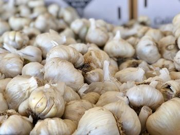 Close-up of vegetables for sale in market