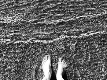 Low section of person on beach