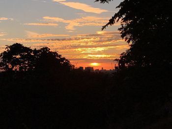 Silhouette trees by sea against sky during sunset