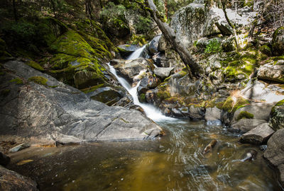 Stream flowing through rocks in forest