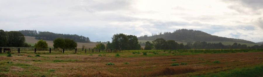 Scenic view of field against sky