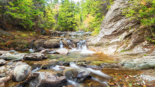 Stream flowing through rocks in forest