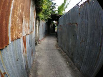 Corridor of building