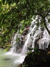 Scenic view of waterfall in forest