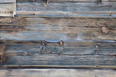 Close-up of wooden plank