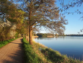 Scenic view of lake by trees against sky