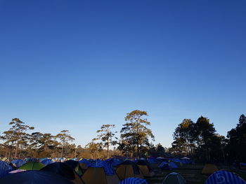 Low angle view of tent against clear blue sky