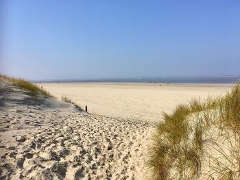 Scenic view of beach against clear sky