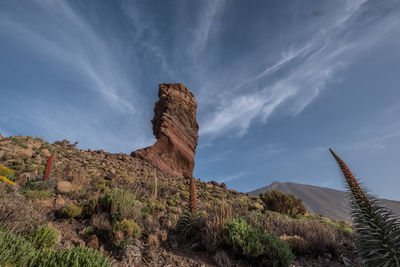 Wide angle photo of iconic rock formation in teide nationalpark with flower in foreground