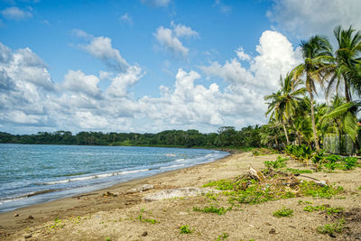 Scenic view of beach against sky