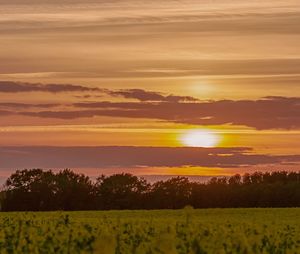 Scenic view of field against sky during sunset