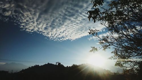 Low angle view of trees against sky during sunset