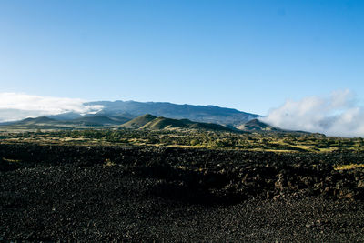 Aerial view of townscape against sky