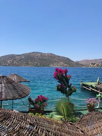 Scenic view of sea against clear blue sky
