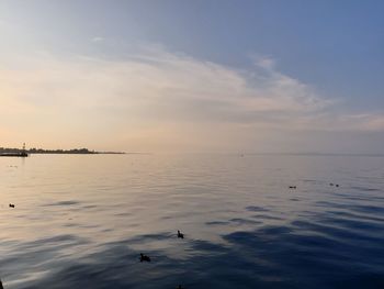 Seagulls flying over sea against sky