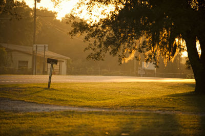 View of field at park during sunset