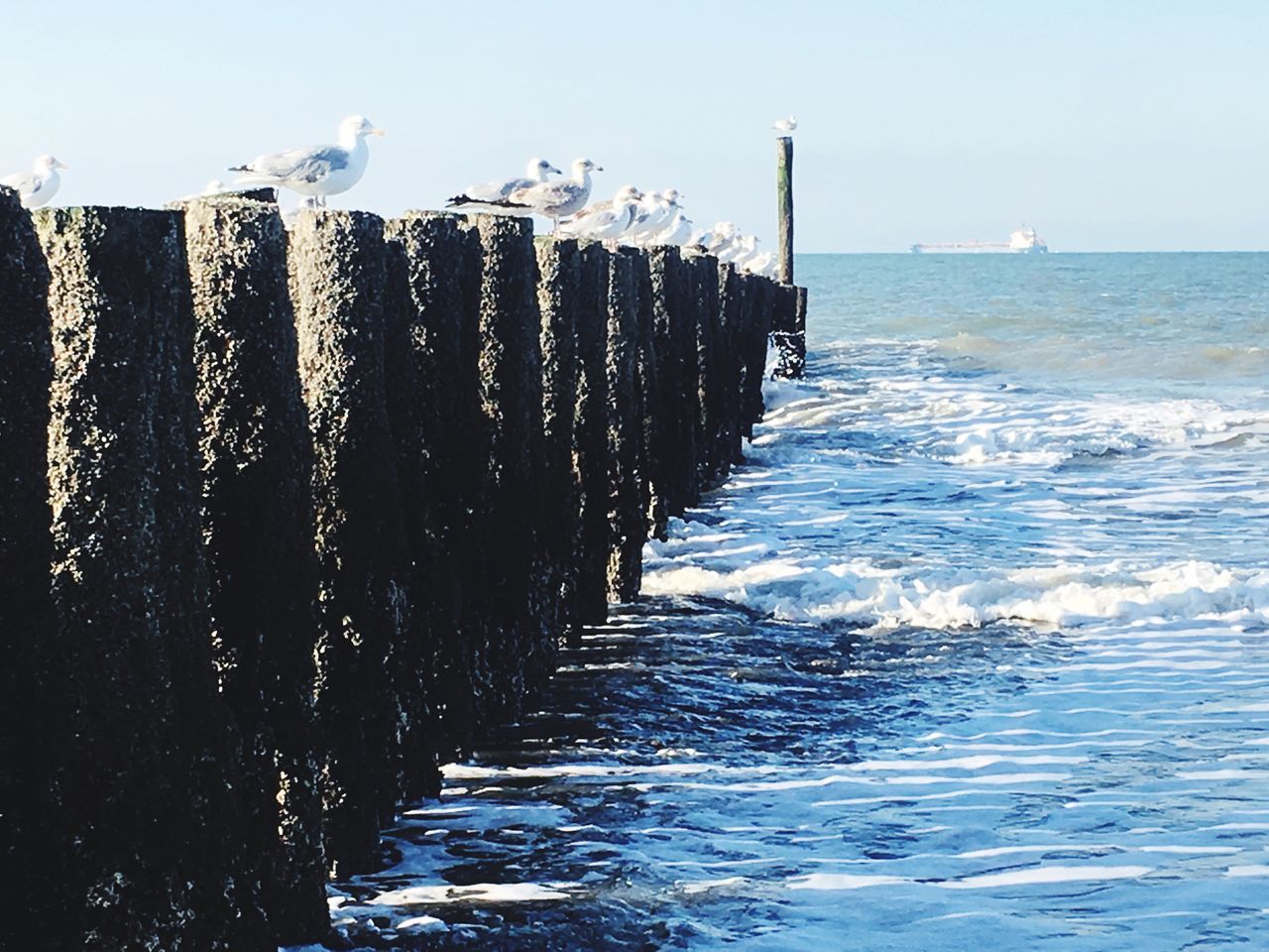 PIER OVER SEA AGAINST SKY