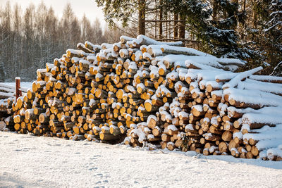 Freshly cut logs and firewood from loggers submerged under a blanket of white snow during 