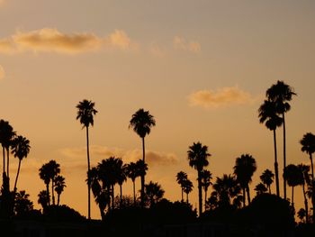 Silhouette palm trees against sky during sunset