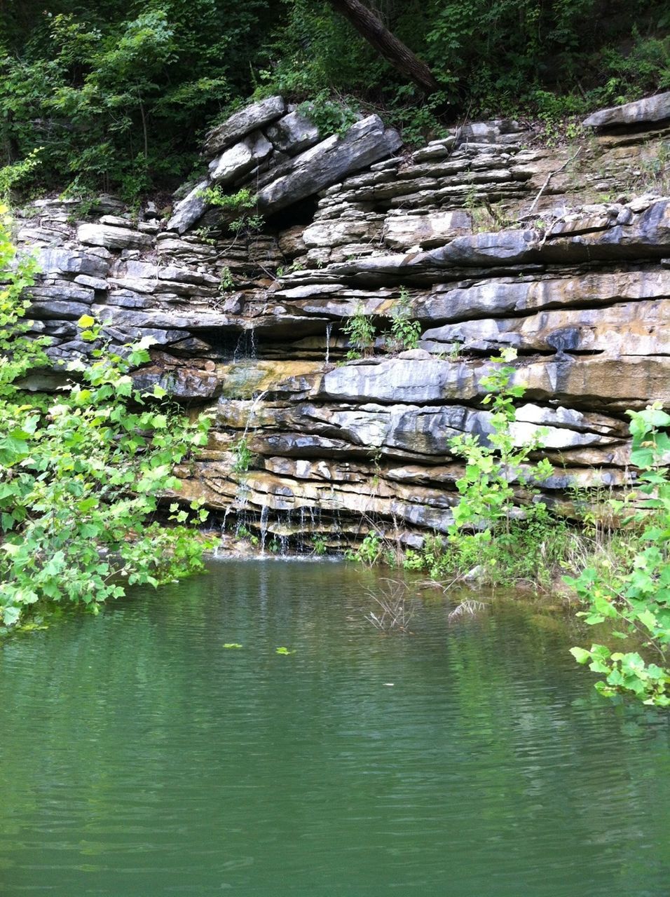 water, tree, waterfront, nature, reflection, plant, growth, forest, tranquility, built structure, river, green color, stream, rock - object, day, beauty in nature, lake, outdoors, tranquil scene, no people