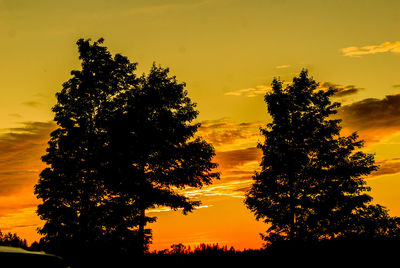 Low angle view of silhouette tree against orange sky